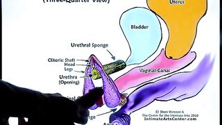 Squirting tutorial 2 with Mr. PussyLicking, showcasing intense passion
