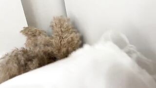The man sniffed panties and fucked curva in a wet pussy, reaching real orgasm