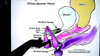How to Squirt? The fastest explanation by Mr PussyLicking!
