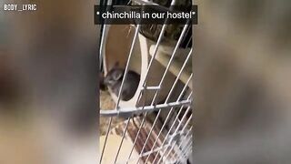 Sex in a capsule hostel and the continuation of their journey to the big city