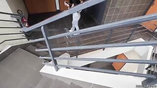 Fakes agents fucked hard a Chilean model with a perfect ass in an elevator and toilet