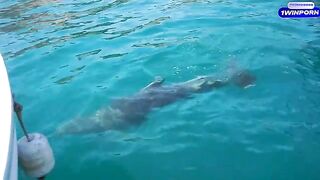 Romantic sex on the boat and on the island with hot teen