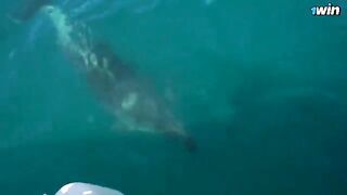 Romantic sex on the boat and on the island with hot teen