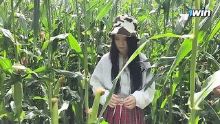 A security guard stopped a thief in the cornfield and gave her a ticket