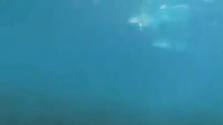 Two aqua-technicians fuck at the bottom of the sea