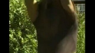 A man caresses his cock in the hayloft with passion