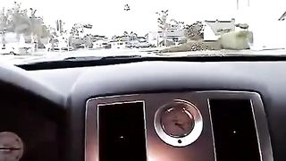 The cute girl gave a blowjob right in the car