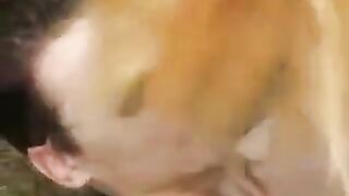 Skinny teen gets fucked in the park and receives a cumshot