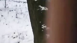 A bold guy tries to freeze time with a girl’s pussy