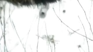 Winter street blowjob scene with a captivating view of the surrounding environment