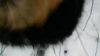 Winter street blowjob scene with a captivating view of the surrounding environment