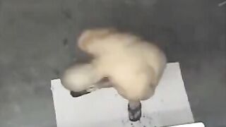 A naked man was filmed by a hidden camera in the shower