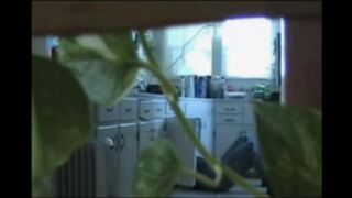 A married couple has sex while walking naked in their apartment