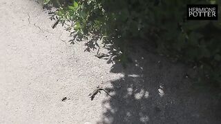 A girl is fucking with a new guy in the new country