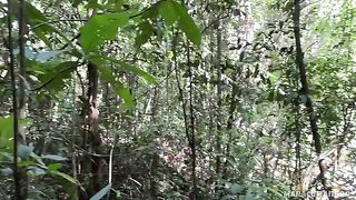 A breath of fresh air and her warm lips on my dick in HD