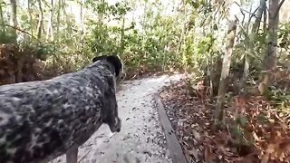 A guy fucks a girl in the jungle, sparks fly