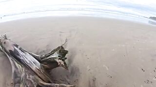 The girl made a blowjob right on the beach, it was embarrassing